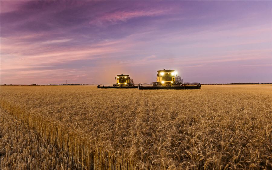 US-China tensions stall Bunge’s $8.2 billion Viterra deal